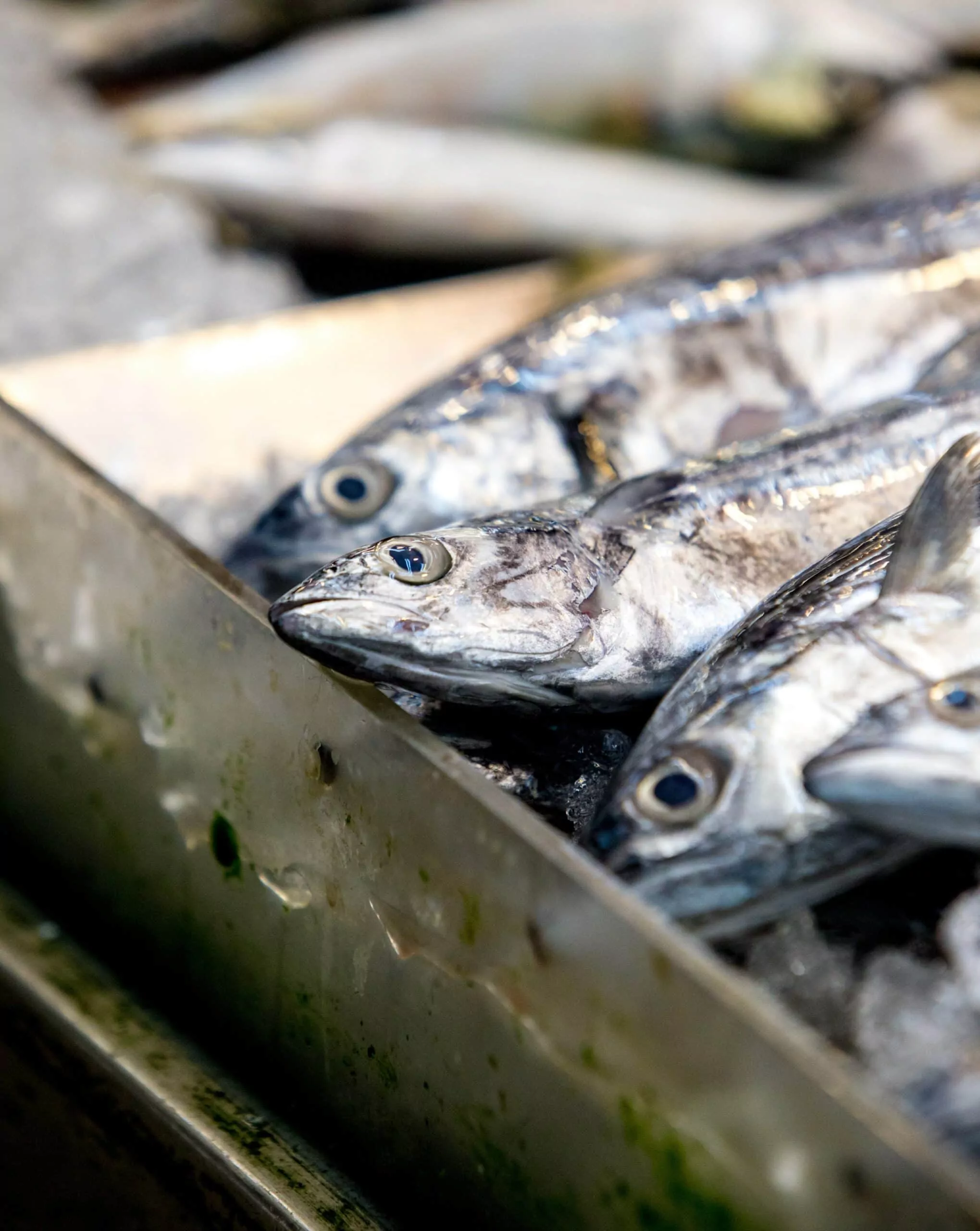 SEAFOOD: WHAT DOES ‘SUSTAINABLE’ MEAN ANYWAY?