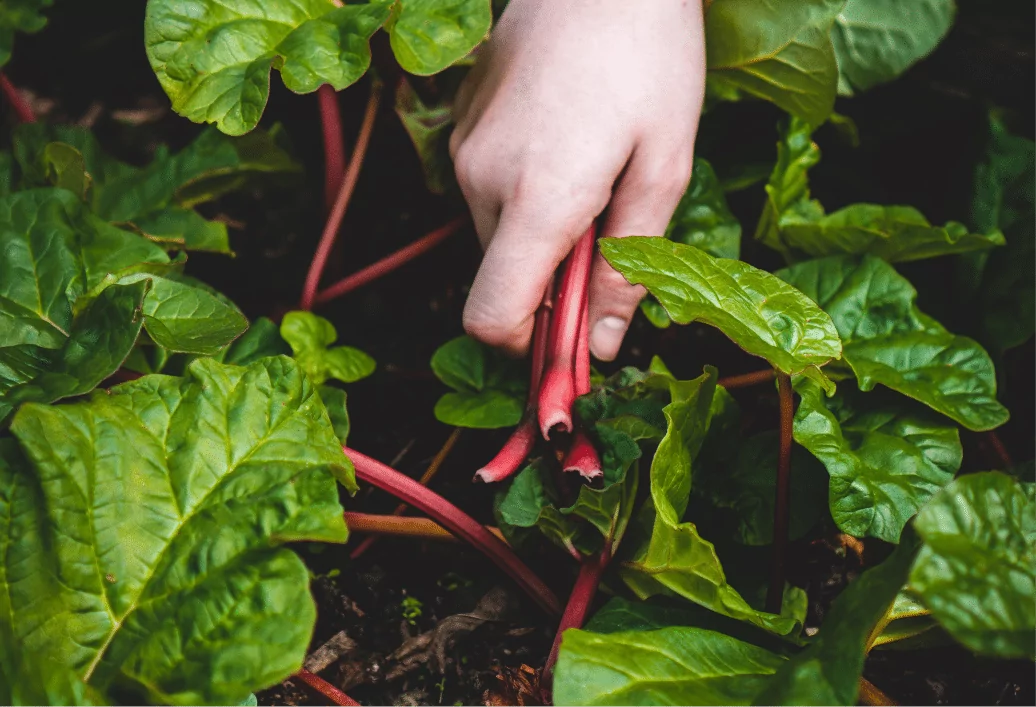 We are all farmers.